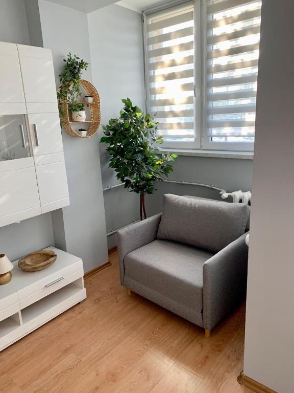 גליביצ'ה Apartament Joanna 2 Parter Blisko Prezero מראה חיצוני תמונה